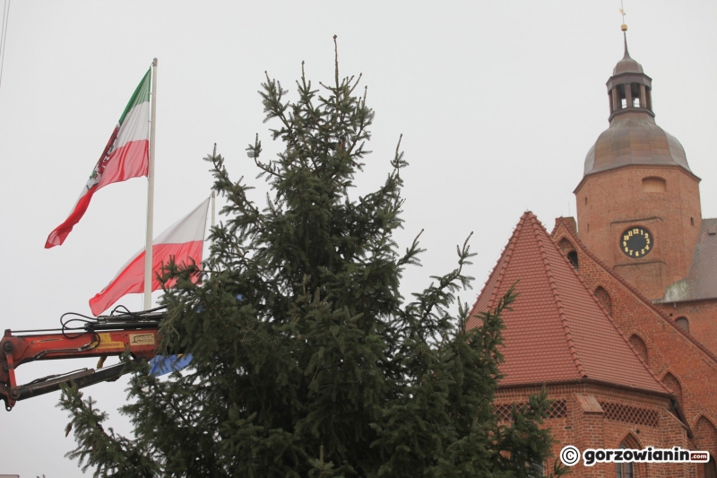 9/11 Ustawianie choinki na Starym Rynku