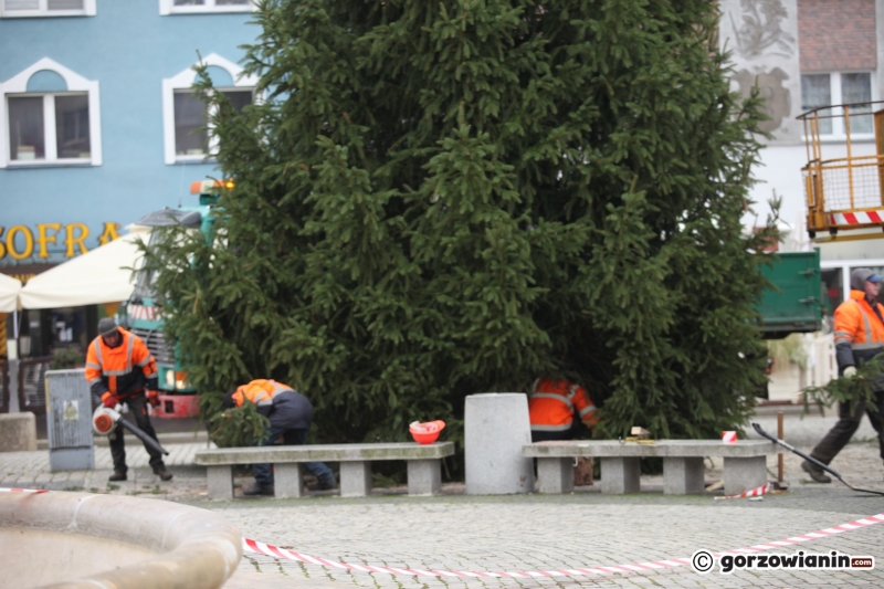 10/11 Ustawianie choinki na Starym Rynku