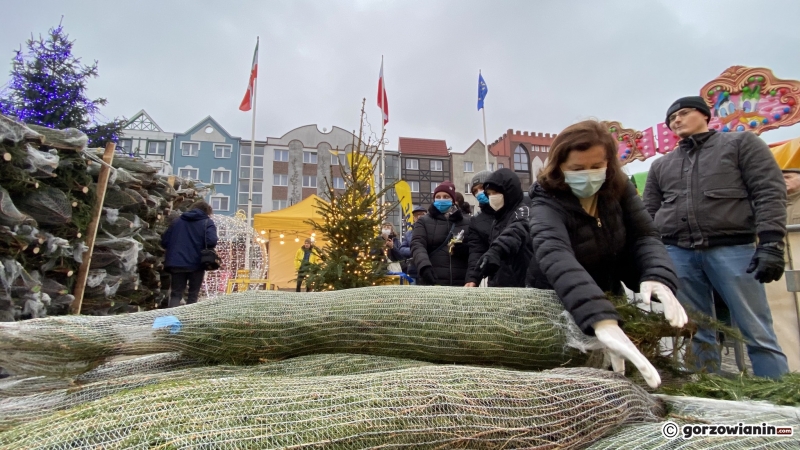 6/11 Ogromna kolejka mieszkańców po darmowe choinki od RMF FM