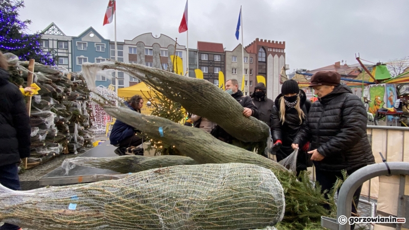 9/11 Ogromna kolejka mieszkańców po darmowe choinki od RMF FM