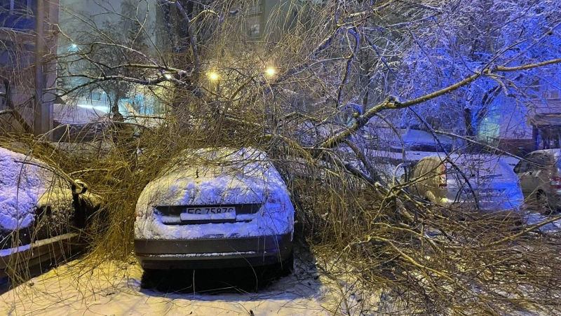 2/4 Wyrwane z korzeniami drzewo spadło na samochody