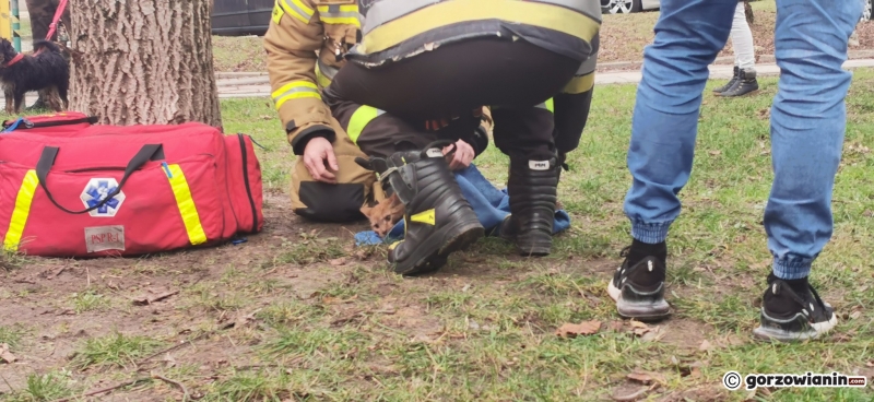 7/10 Pożar mieszkania przy ul. Sikorskiego