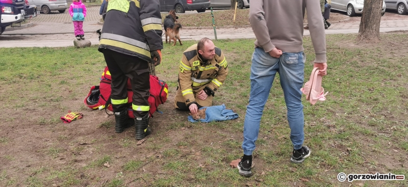 8/10 Pożar mieszkania przy ul. Sikorskiego