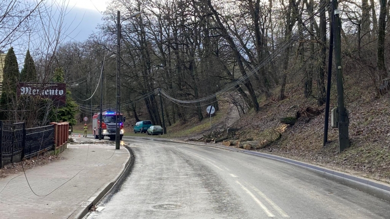 8/8 Skutki silnego wiatru 