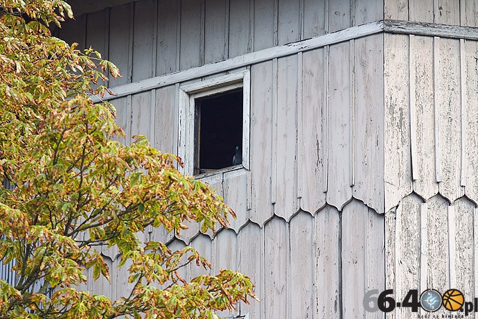 23/40 Gorzów: Nasze miasto się sypie!!!