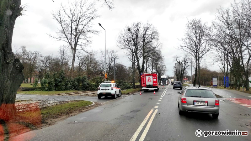 4/4 Przewrócone drzewo zerwało trakcję. Tramwaje kursują na skróconej trasie