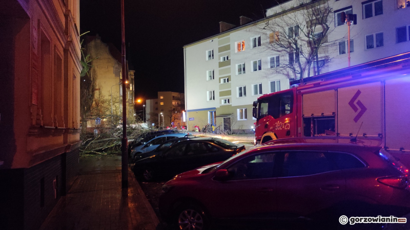4/7 Drzewo wyrwane z korzeniami spadło na zaparkowane auta