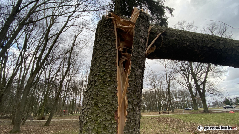 3/19 Orkan Eunice wyrządził spore szkody