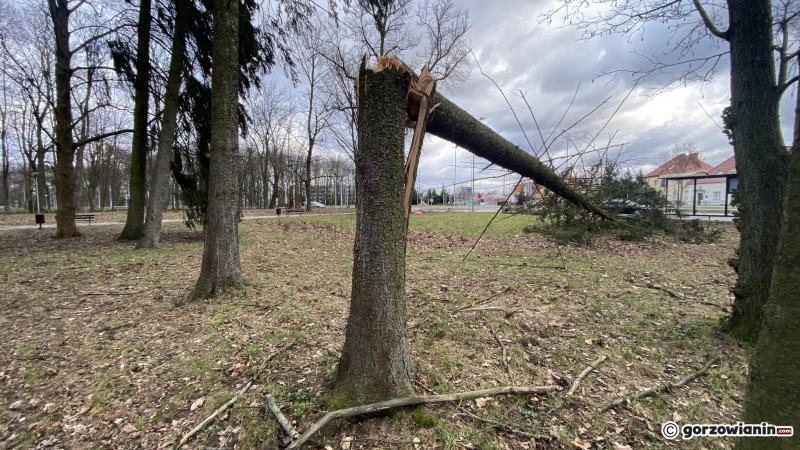 4/19 Orkan Eunice wyrządził spore szkody