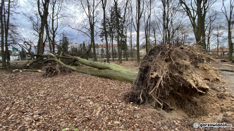6/19 Orkan Eunice wyrządził spore szkody