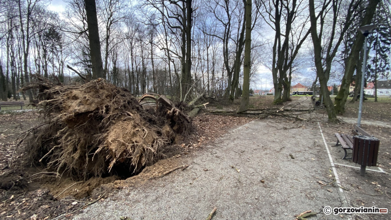 7/19 Orkan Eunice wyrządził spore szkody