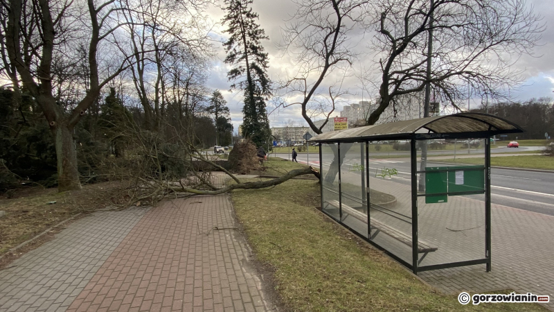 10/19 Orkan Eunice wyrządził spore szkody