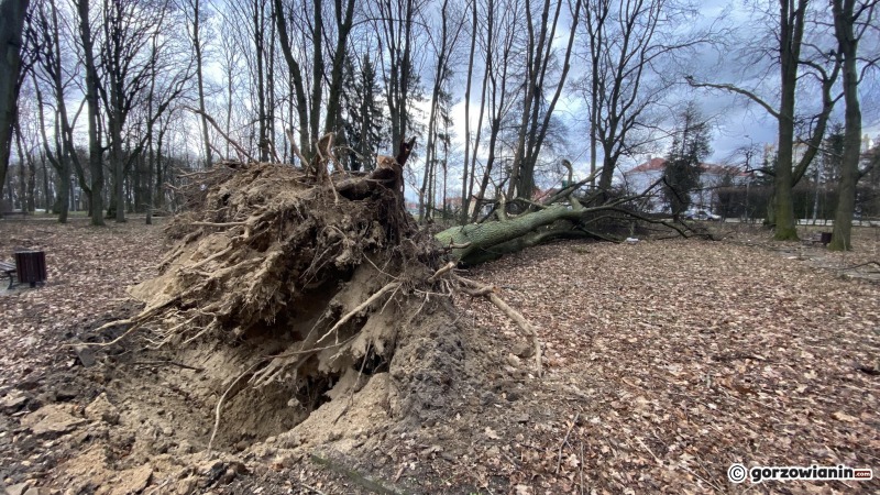 12/19 Orkan Eunice wyrządził spore szkody