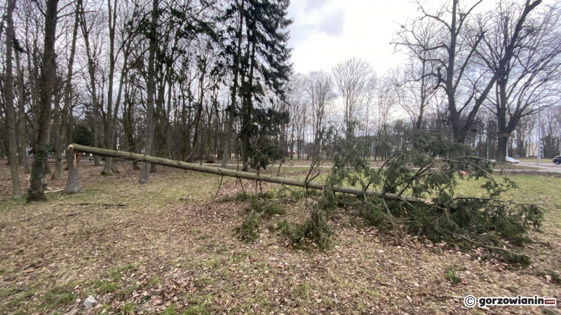 14/19 Orkan Eunice wyrządził spore szkody