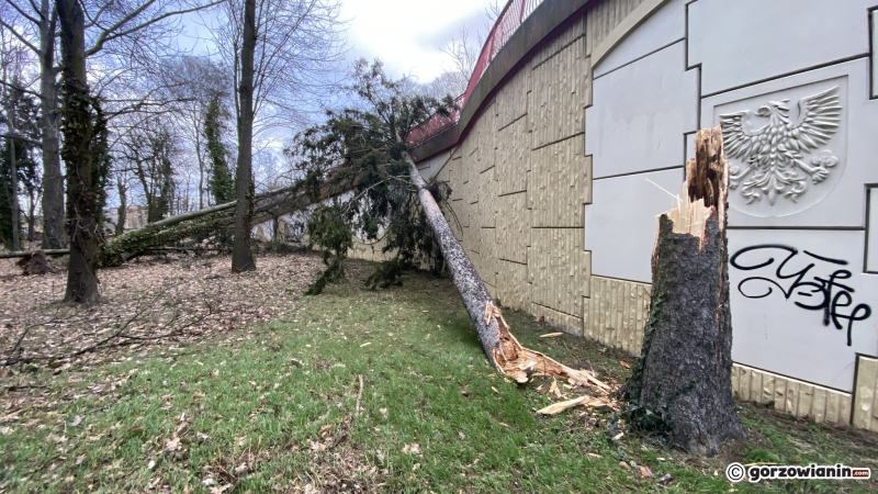 19/19 Orkan Eunice wyrządził spore szkody