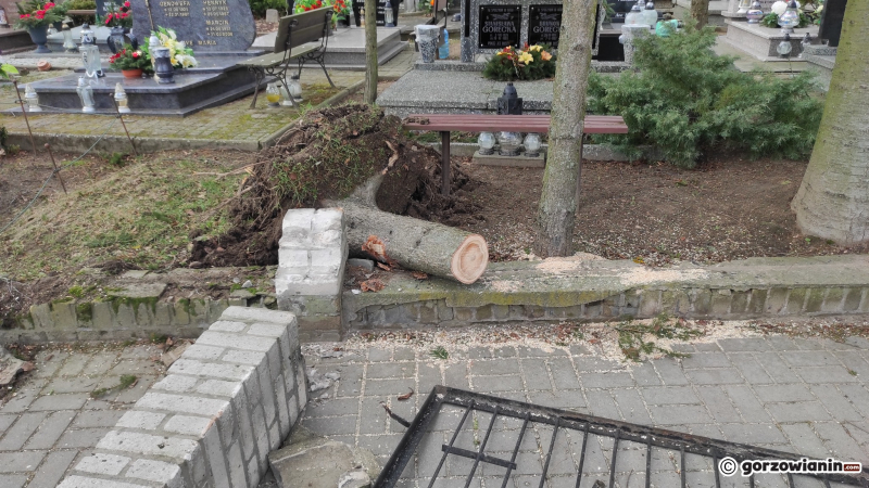 4/5 Zniszczone ogrodzenie cmentarza przy Żwirowej