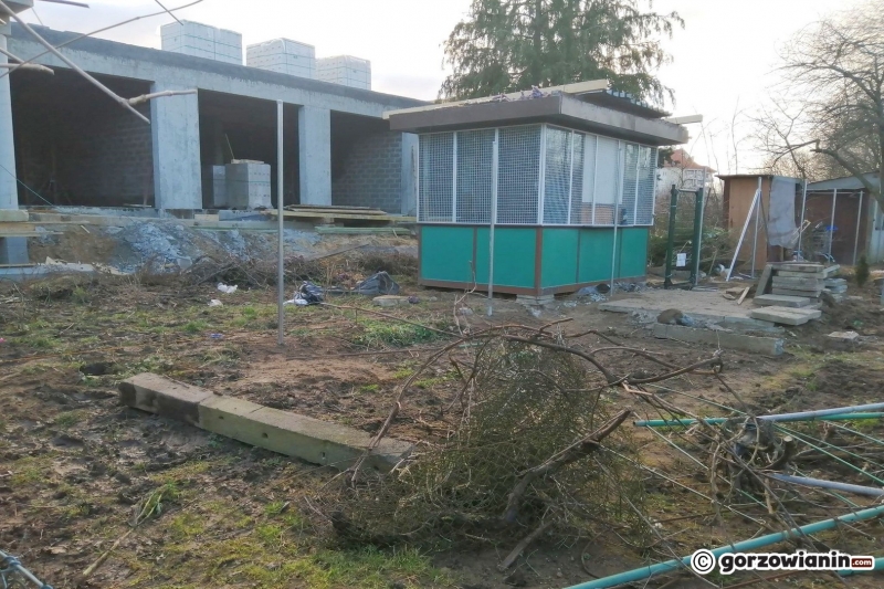 3/4 Deweloper prowadzi prace na działkach ROD Magnolia