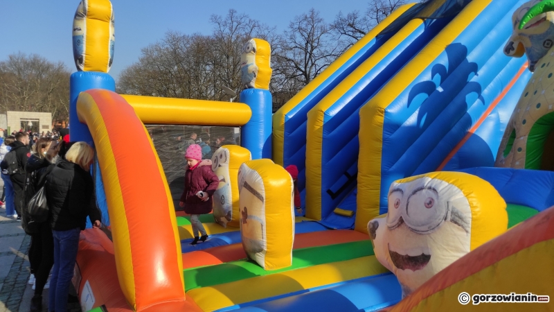 8/9 IX Festiwal Smaków Food Trucków w Gorzowie 