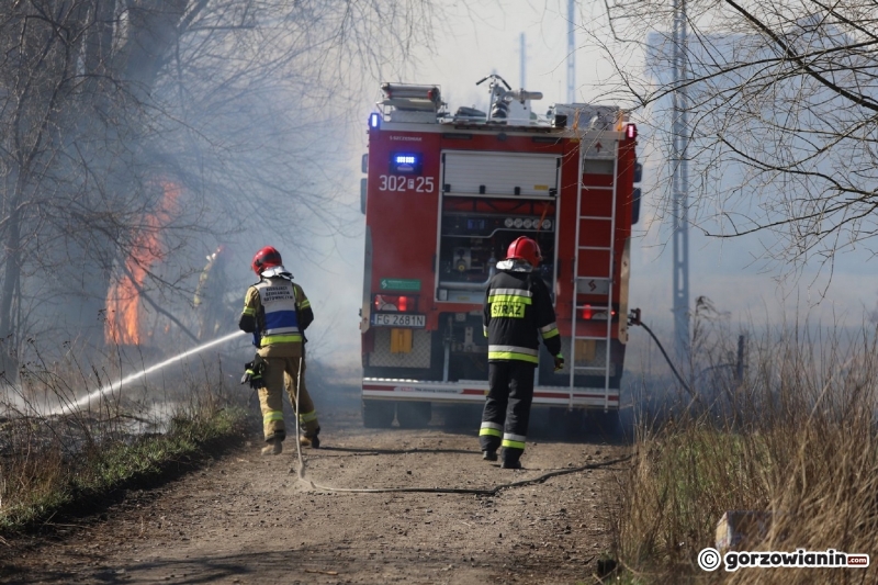 2/9 Pożar trawy przy ul. Półwiejskiej w Gorzowie