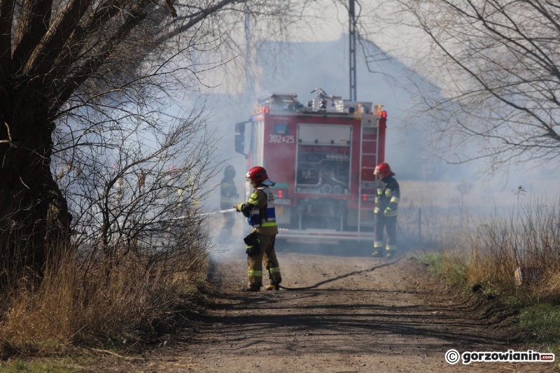 3/9 Pożar trawy przy ul. Półwiejskiej w Gorzowie