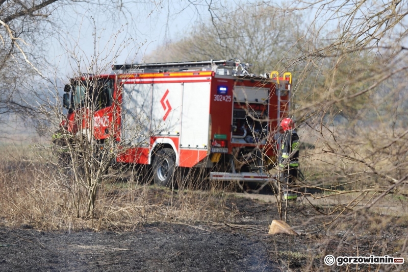 4/9 Pożar trawy przy ul. Półwiejskiej w Gorzowie