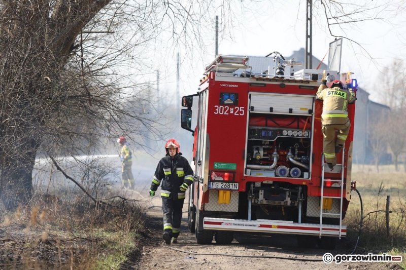 6/9 Pożar trawy przy ul. Półwiejskiej w Gorzowie
