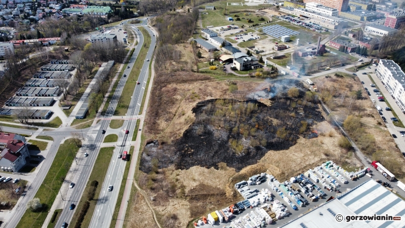 6/7 Pożar traw koło Castoramy 