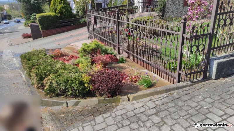 3/4 Pęknięta rura i zalana ul. Olimpijska