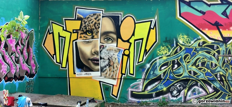 3/10 Nowe murale nad Kłodawką