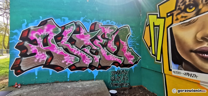 10/10 Nowe murale nad Kłodawką