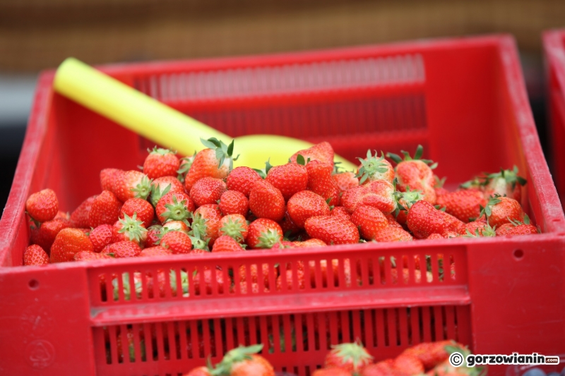 6/10 Ceny truskawek w Gorzowie szokują
