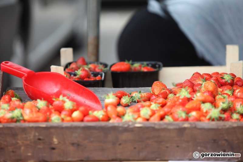 7/10 Ceny truskawek w Gorzowie szokują