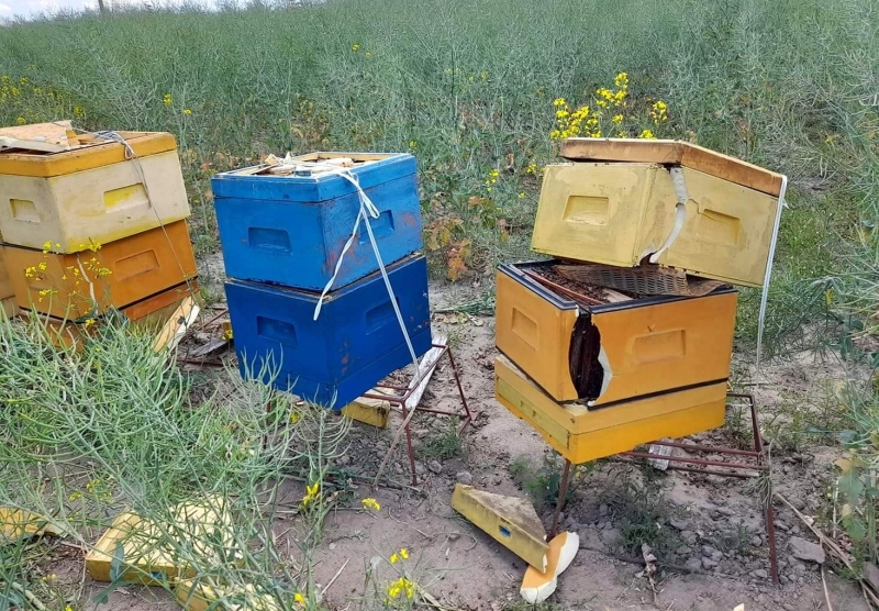 3/11 Zdemolowane pasieki koło Wawrowa