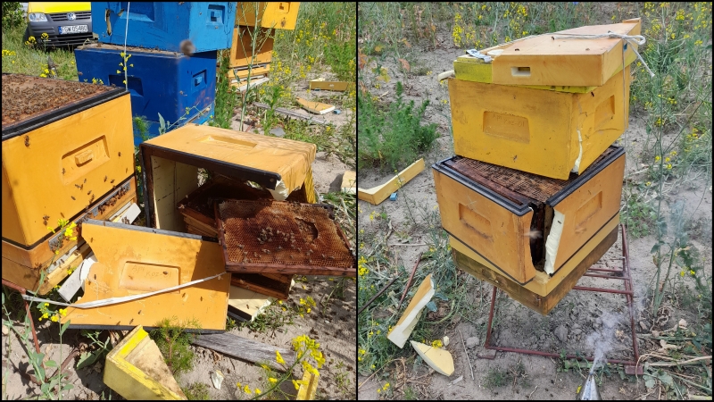 9/11 Zdemolowane pasieki koło Wawrowa