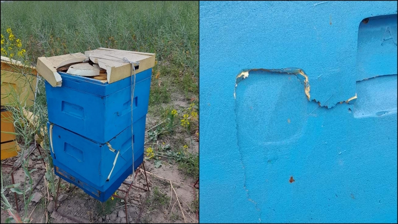 10/11 Zdemolowane pasieki koło Wawrowa