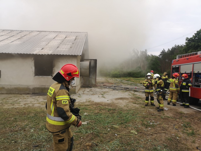 3/10 Pożar kurników w Borku