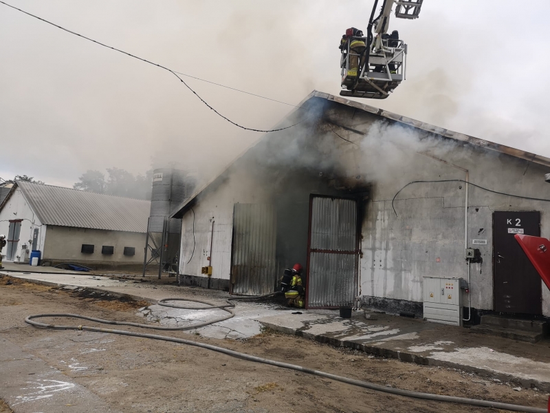4/10 Pożar kurników w Borku