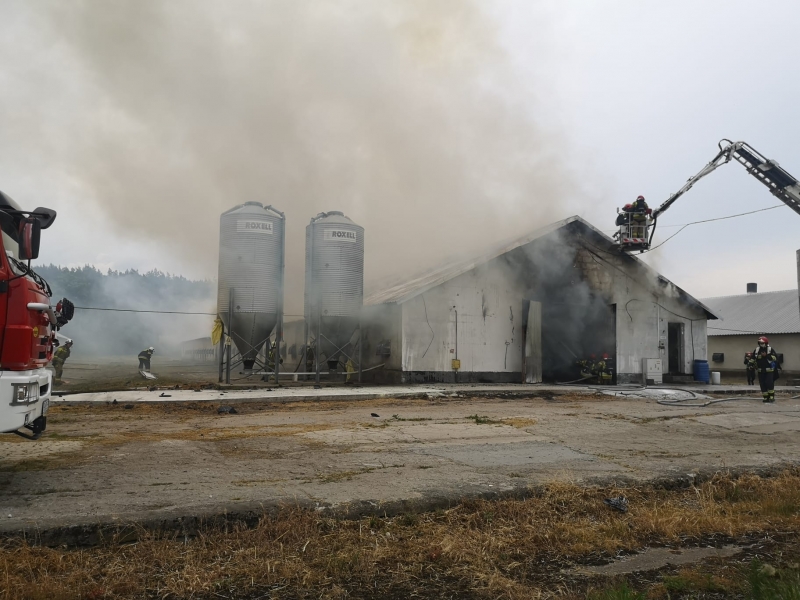 6/10 Pożar kurników w Borku