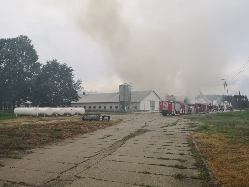 7/10 Pożar kurników w Borku