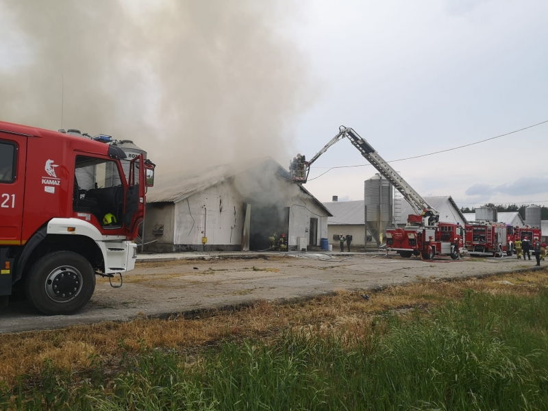 9/10 Pożar kurników w Borku