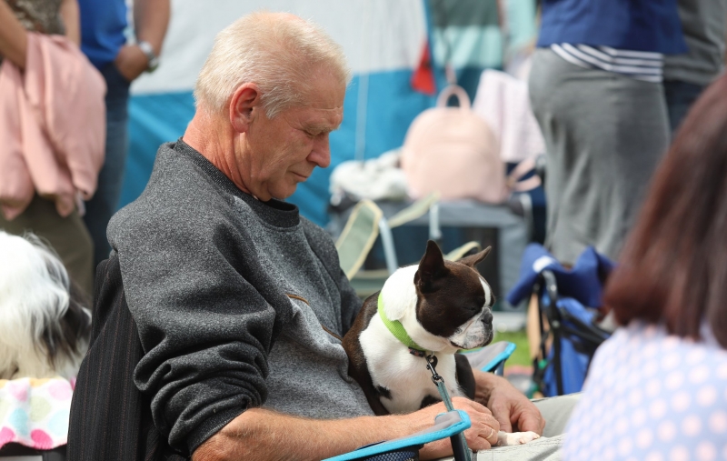 5/12 Międzynarodowa wystawa psów rasowych 2022