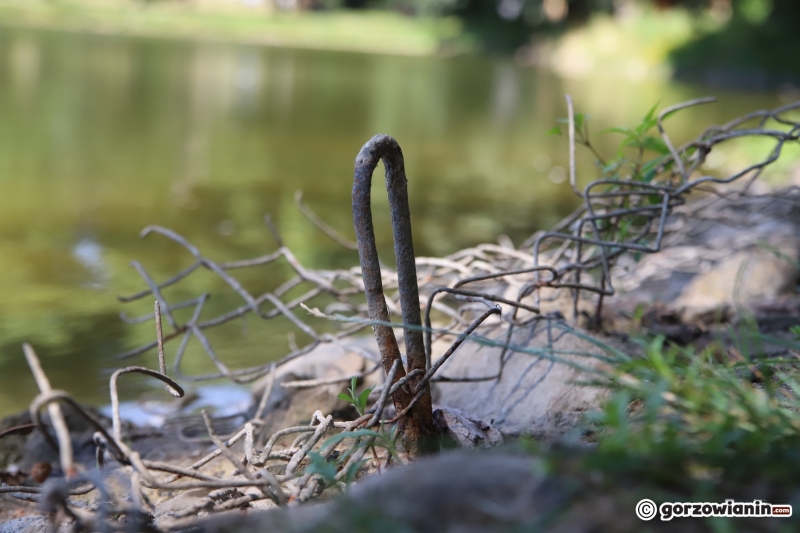 4/7 Fuszerka w zabezpieczeniu brzegu stawu w parku Róż