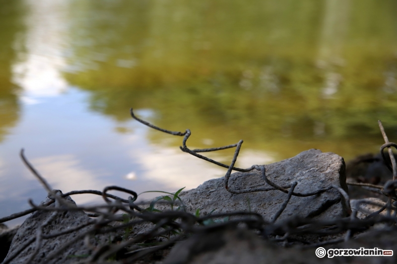 5/7 Fuszerka w zabezpieczeniu brzegu stawu w parku Róż