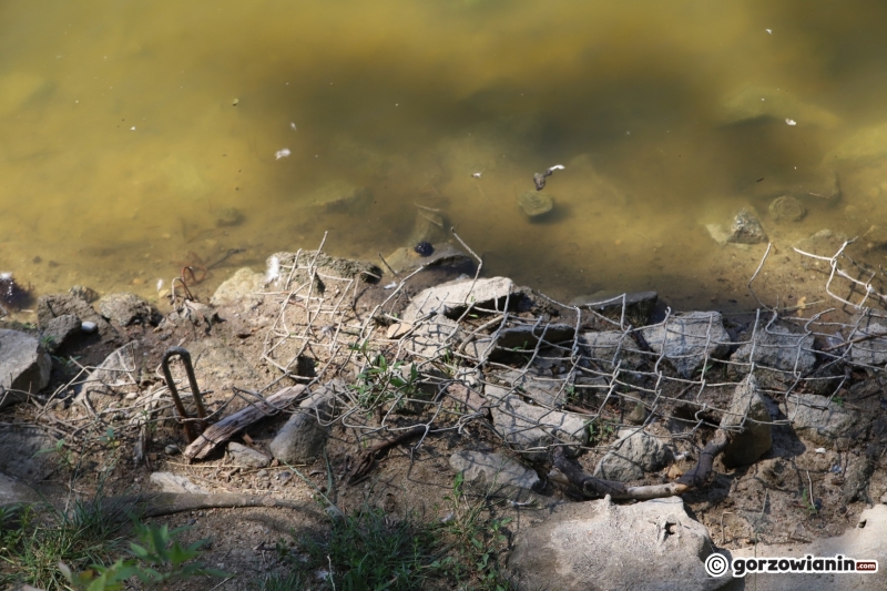7/7 Fuszerka w zabezpieczeniu brzegu stawu w parku Róż