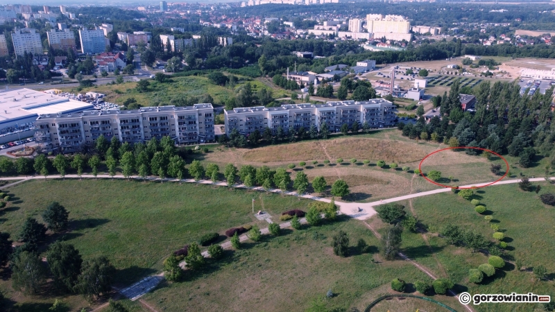 3/4 Lokalizacja pumptracka w parku 750-lecia