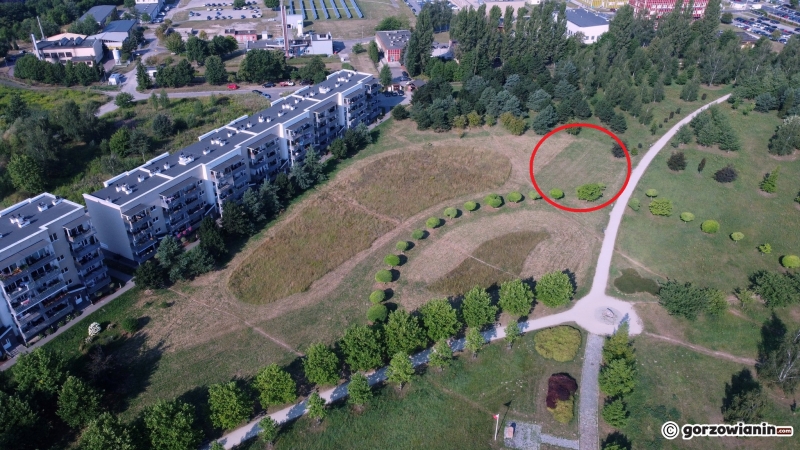 4/4 Lokalizacja pumptracka w parku 750-lecia