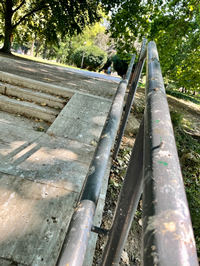 6/8 Problem z ptasimi odchodami w parku Wiosny Ludów