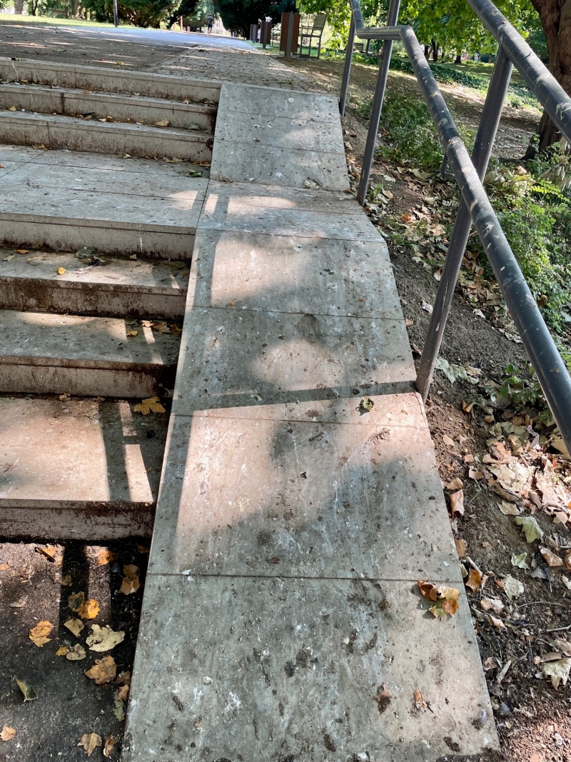 7/8 Problem z ptasimi odchodami w parku Wiosny Ludów