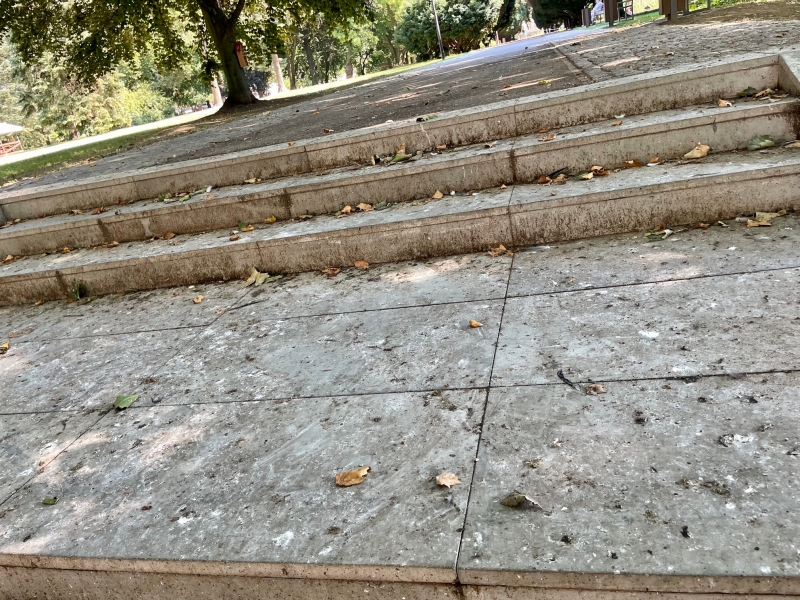 8/8 Problem z ptasimi odchodami w parku Wiosny Ludów