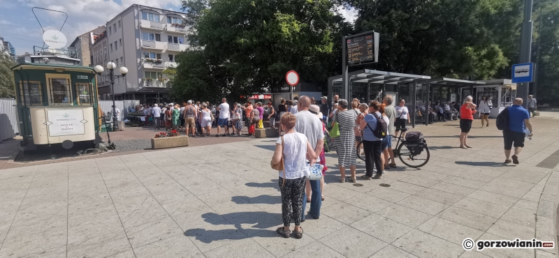 3/21 Sadzonki roślin miododajnych rozchwytywane przez gorzowian